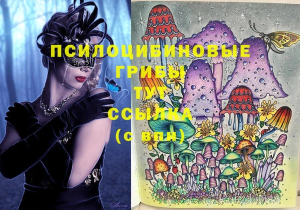 дурь Алексин