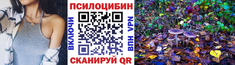 МЕГА сайт  купить наркотики сайты  Феодосия  Галлюциногенные грибы мухоморы 